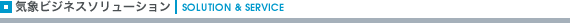 �C�ۃr�W�l�X�\�����[�V���� | SOLUTION �� SERVICE